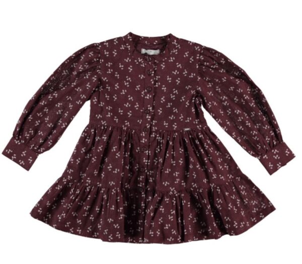 Girls Maroon Dress