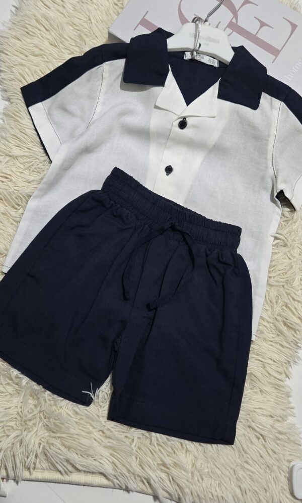 White and Indigo Set