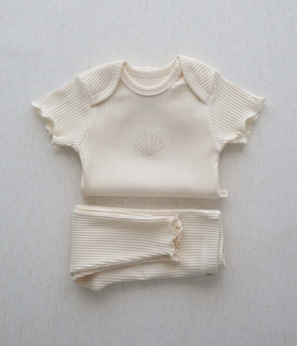 Shell set